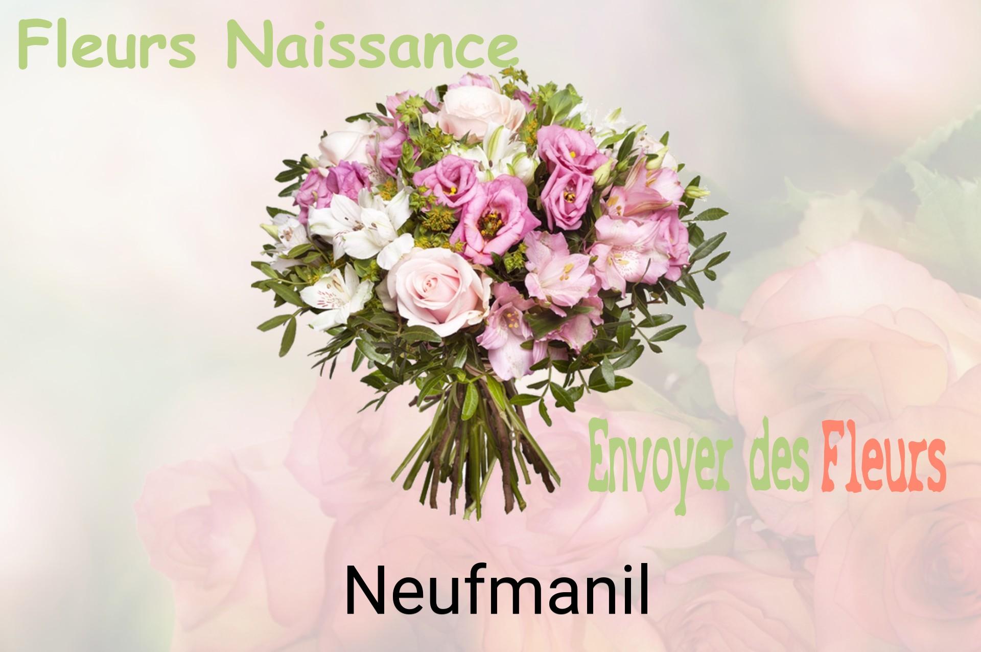 Bouquet de fleurs de naissance livré à Neufmanil